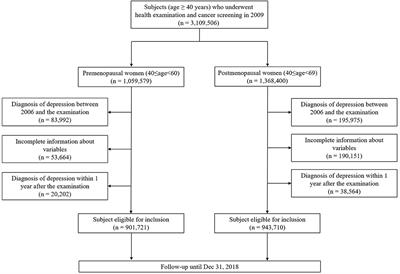 Associations Between Smoking, Alcohol Consumption, Physical Activity and Depression in Middle-Aged Premenopausal and Postmenopausal Women